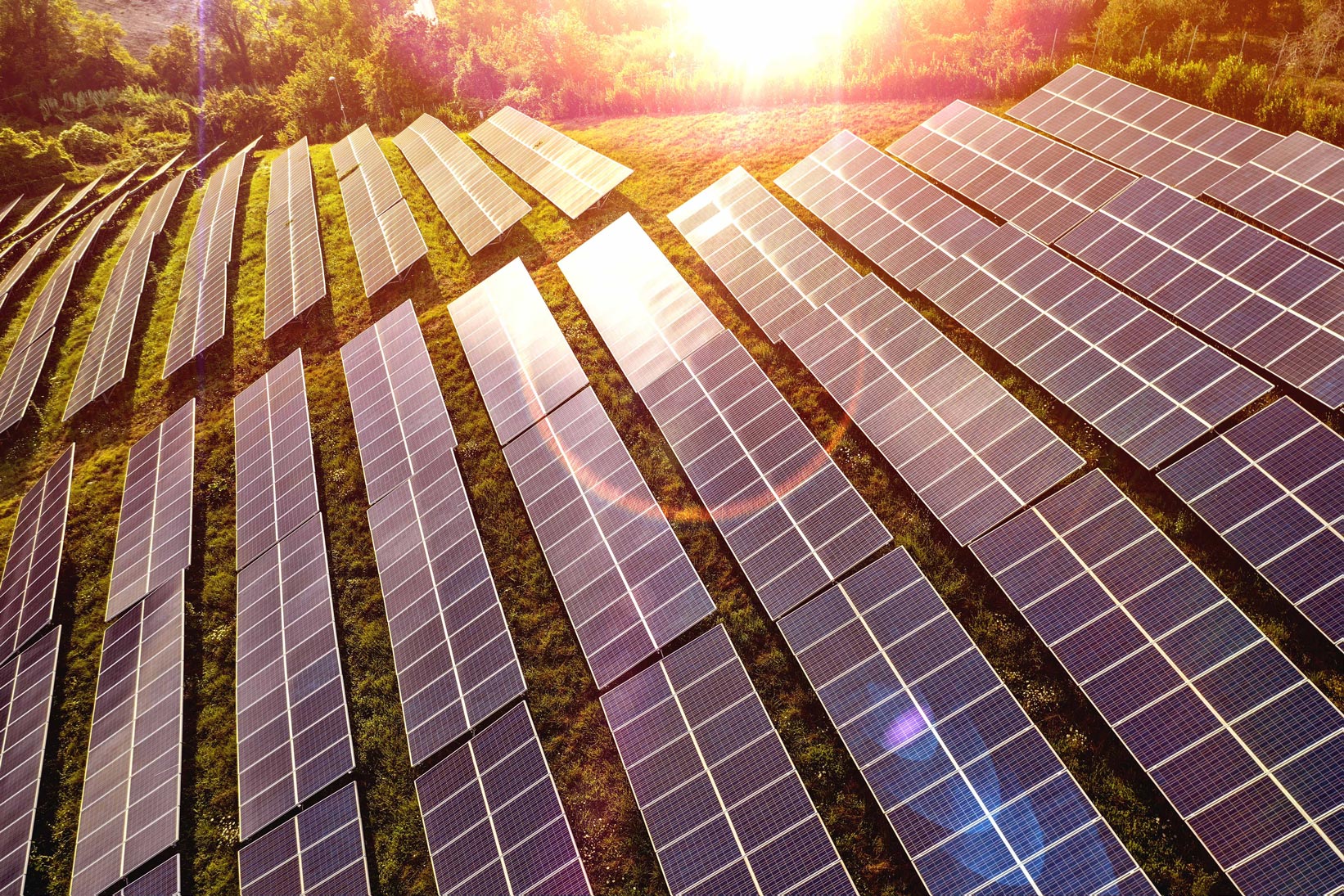 3ʳᵈ producer of energy from RES in Europe